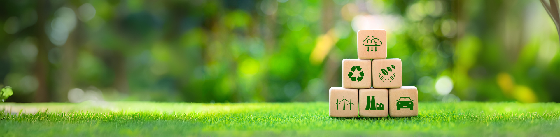 Solutions_Header Banner Image-Green Energy