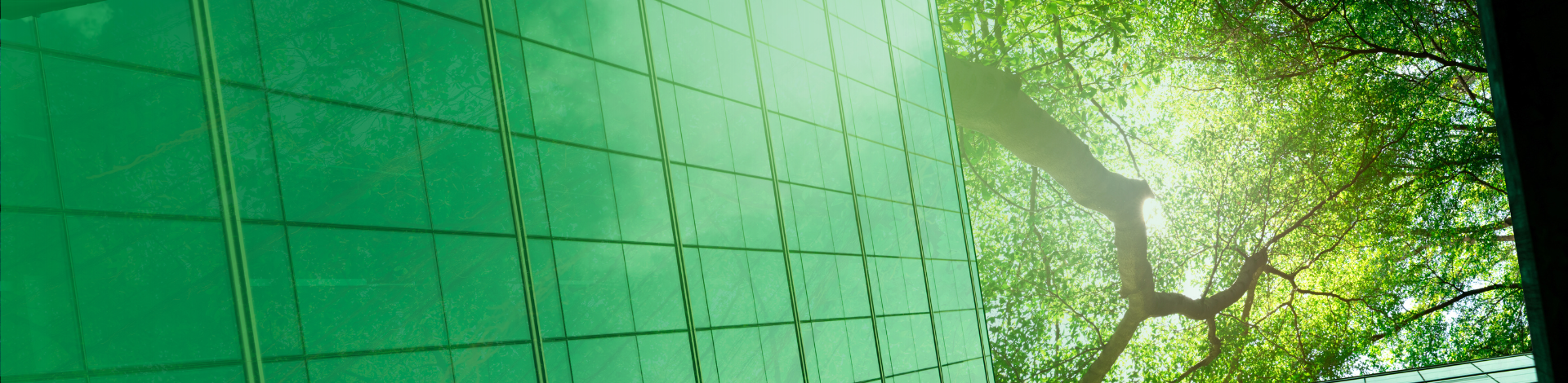 Business Sustainability of Power Partners Group