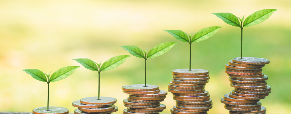 Challenge 5 Balancing Cost and Sustainability